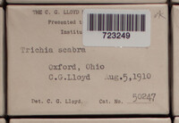 Image Associated With the Occurence